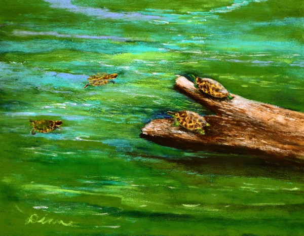 Terrapin Station by Diane Gore