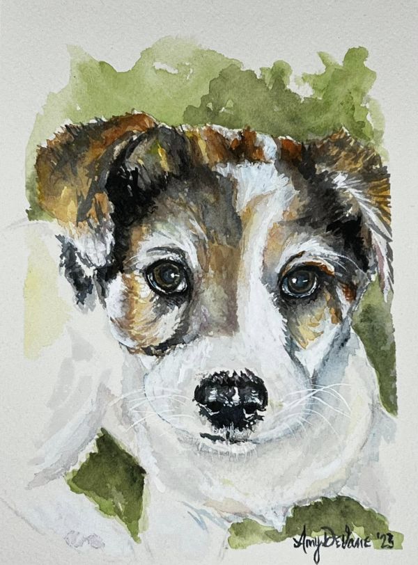 Walworth Puppy by Amy DeVane