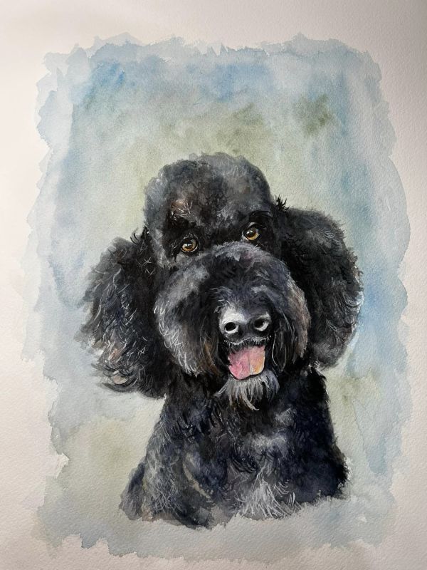 White's Dog by Amy DeVane