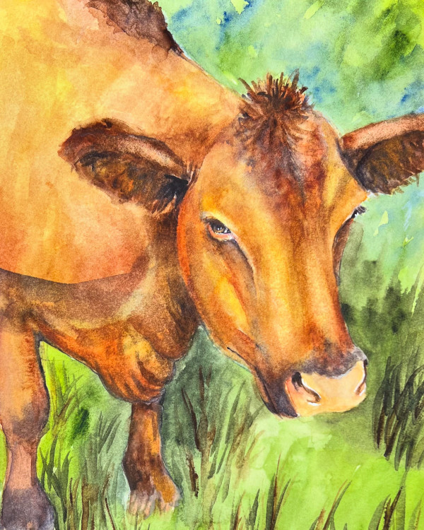Gilbert by Amy DeVane