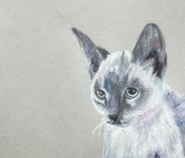 Williams Kitty by Amy DeVane