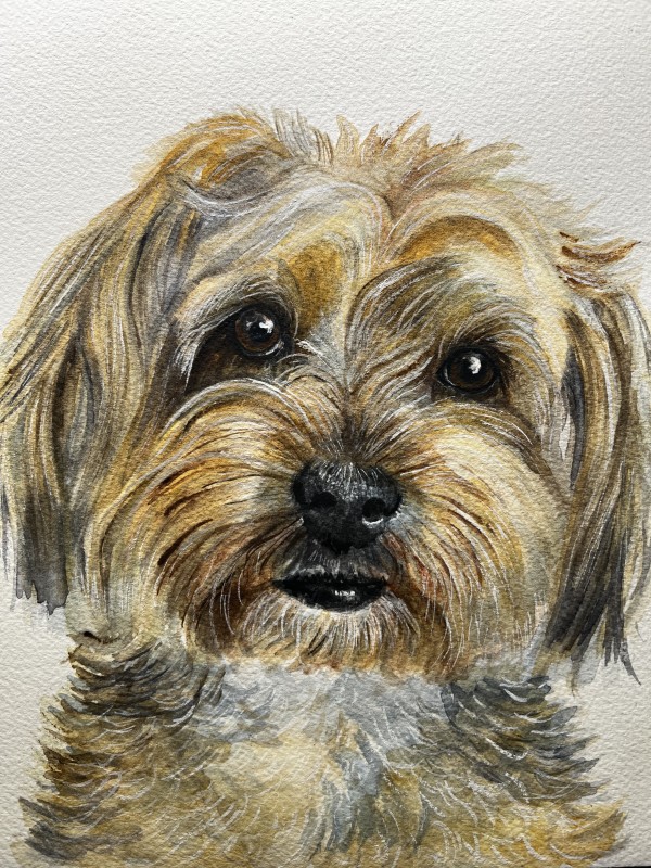Zuzu-Piper Pup by Amy DeVane
