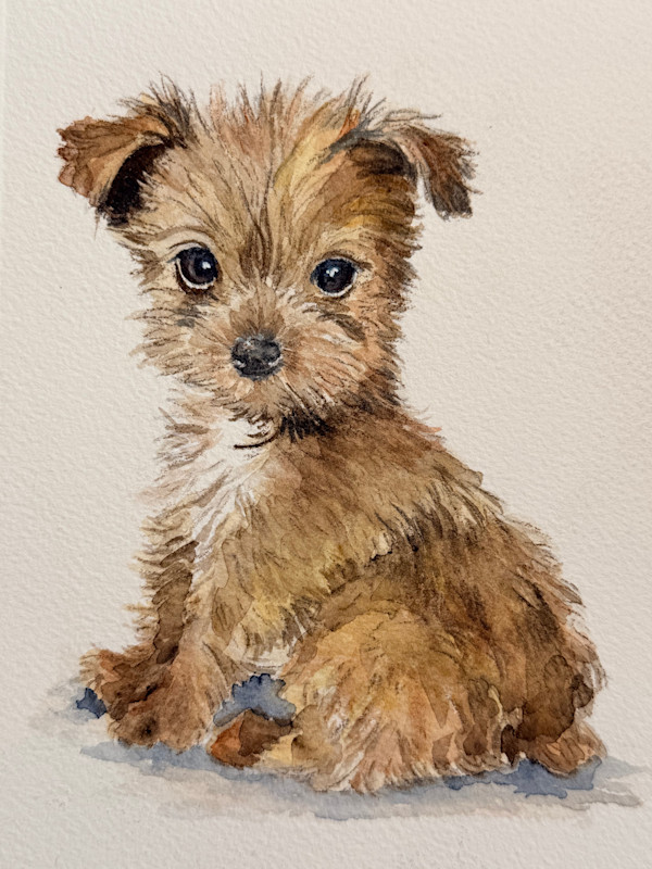 “Arya” by Amy DeVane