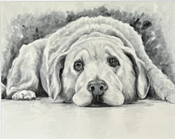 Comfort by Amy DeVane