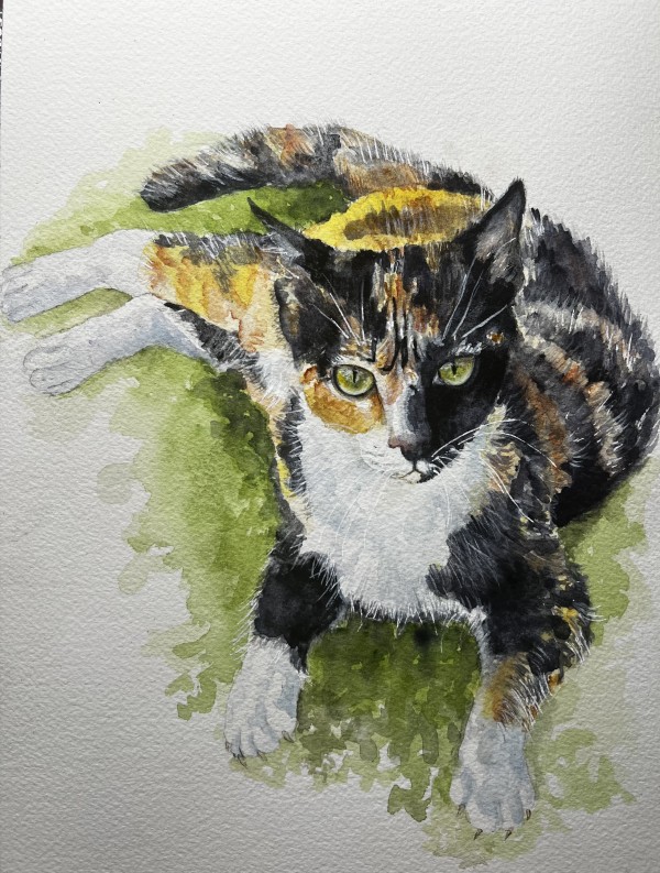 Calico-Fournoy by Amy DeVane