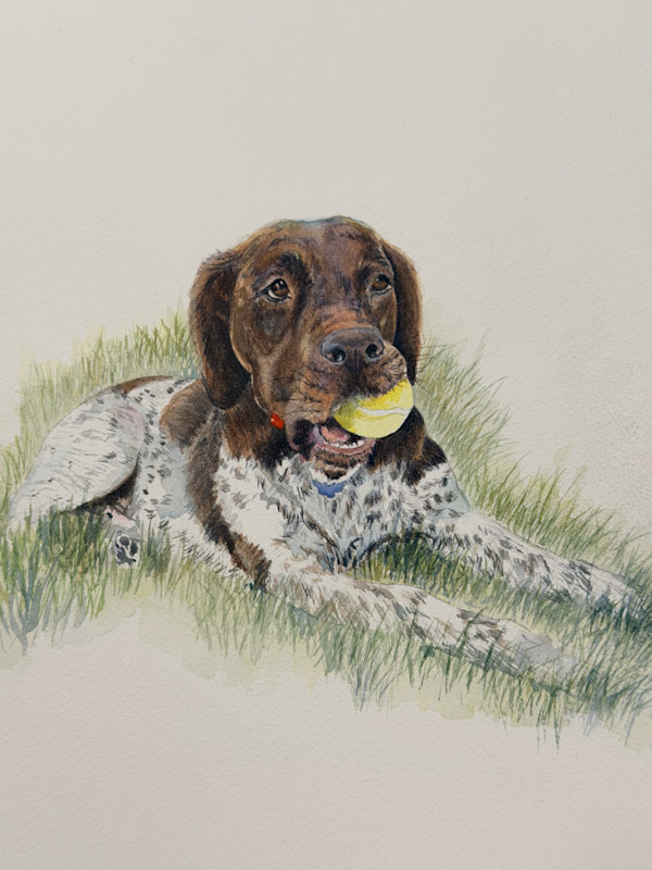 Porkchop-Moore by Amy DeVane