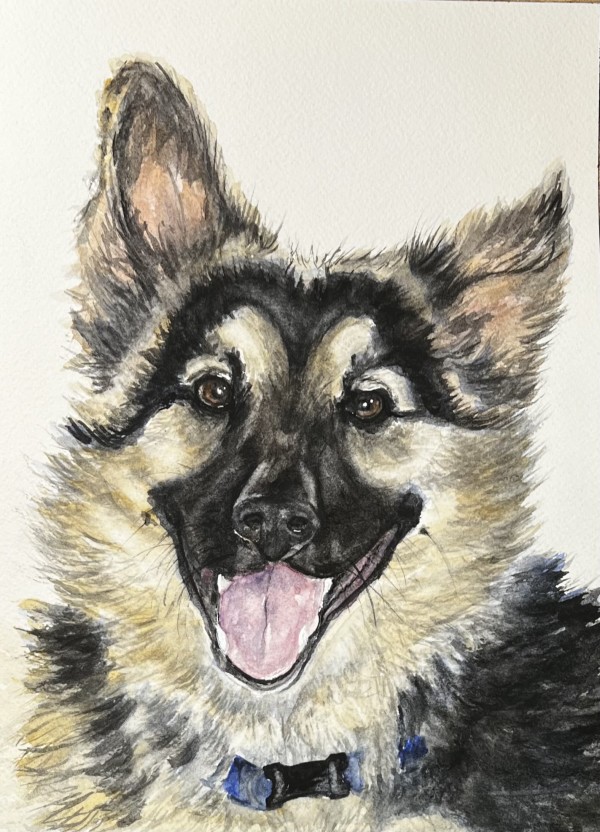 Flournoy Dog 1 by Amy DeVane