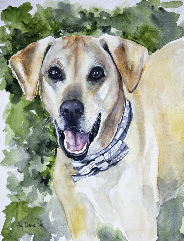 Bow Tie-Enfinger by Amy DeVane
