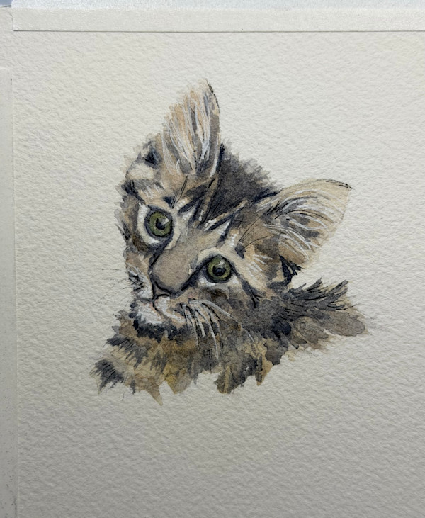 Cat ornament-Jodi by Amy DeVane