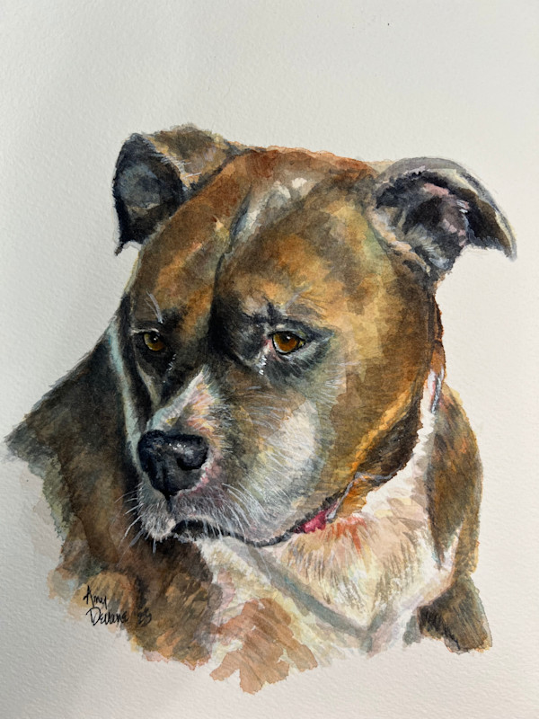 MB Scott by Amy DeVane
