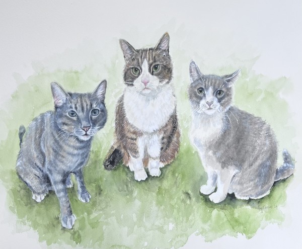 Hunt Cats by Amy DeVane