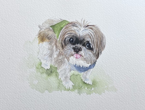 Buddy T by Amy DeVane