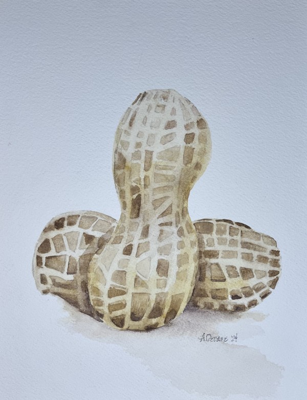 Peanuts by Amy DeVane