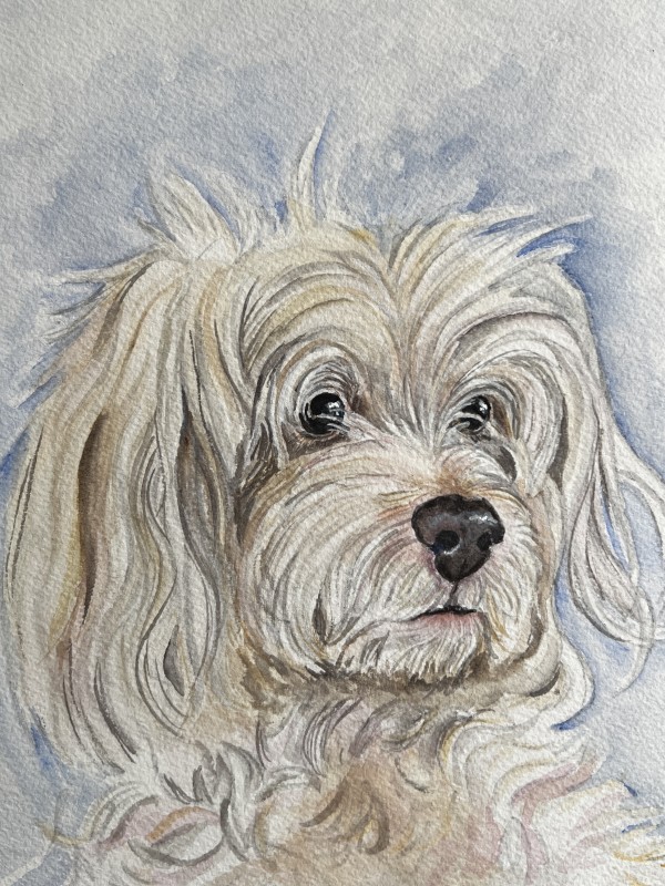 FiFi's Pup by Amy DeVane