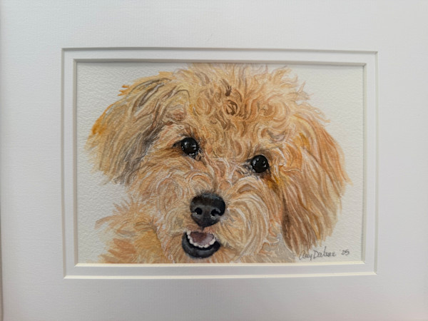 Dix-5x7 Pet Portrait by Amy DeVane