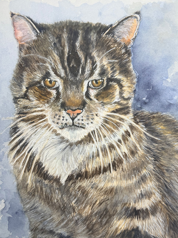 “Gourgues” Cat by Amy DeVane