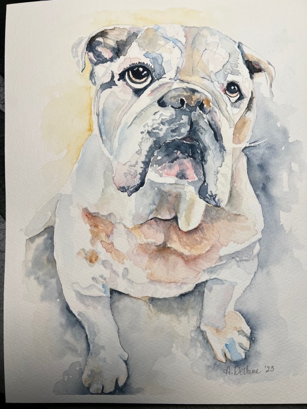 Smith English Bulldog by Amy DeVane