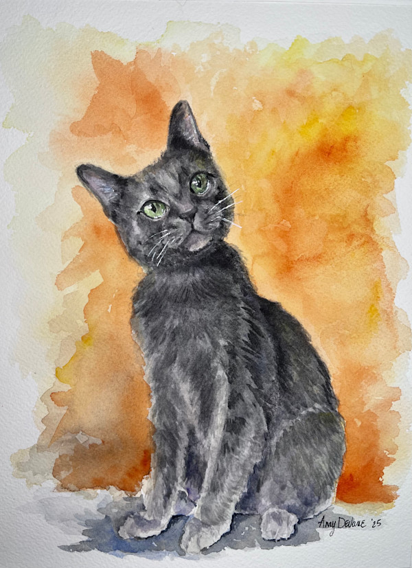 Zoomie by Amy DeVane