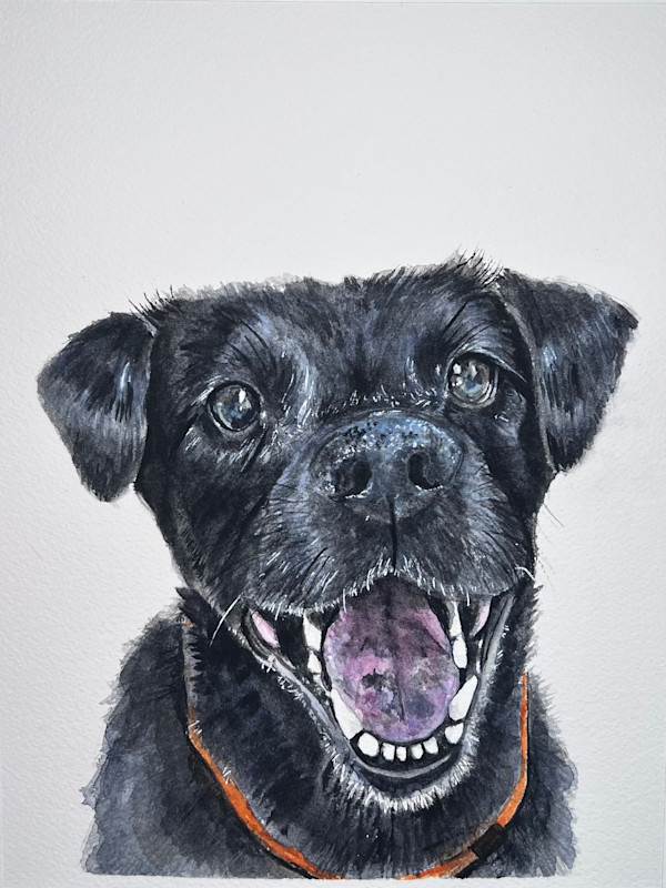 Enfinger Pup 4 by Amy DeVane