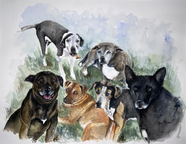 Adkinson Dogs by Amy DeVane