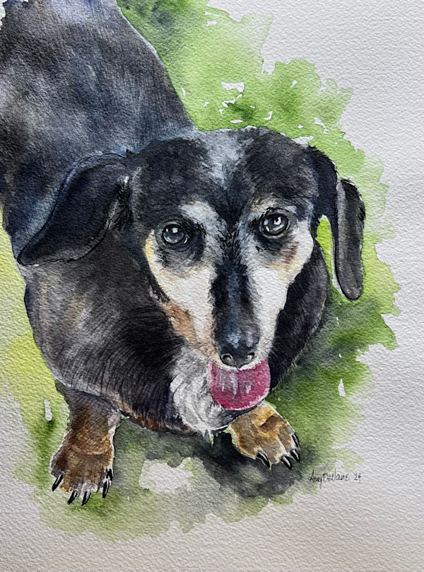 Pippin 1 by Amy DeVane
