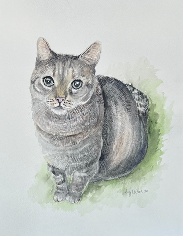 Angie’s Friend by Amy DeVane
