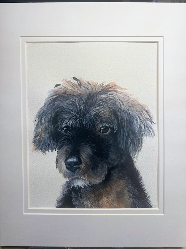 Piper Pup 2 by Amy DeVane