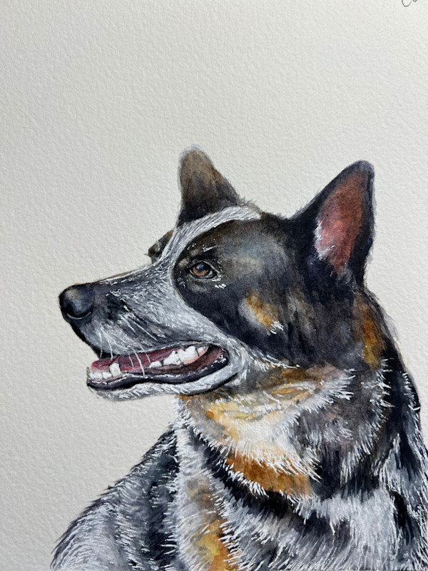 Cothern Pup by Amy DeVane