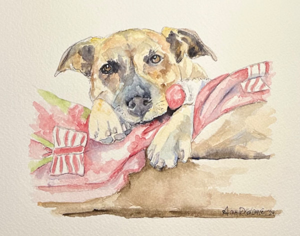 B Byrd by Amy DeVane