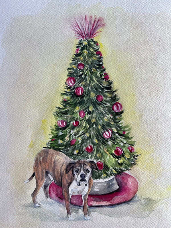 Bri pup by Amy DeVane