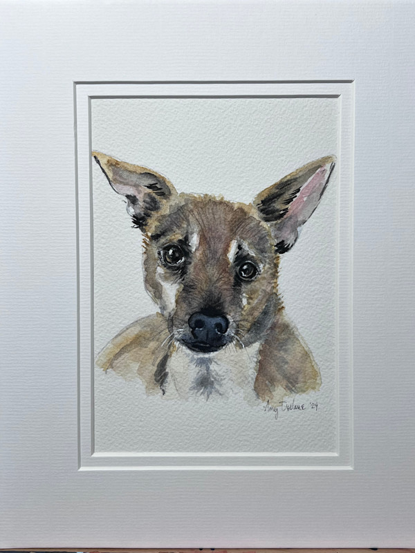 Thornton Pup by Amy DeVane