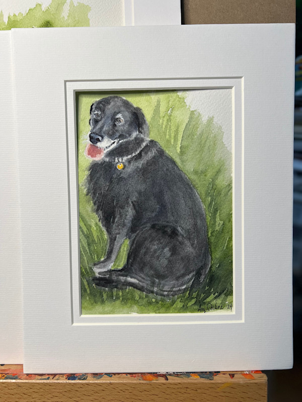 Holland Pup by Amy DeVane