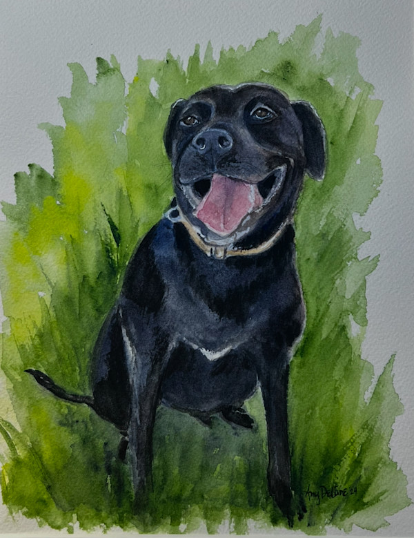 Godwin for Ivey by Amy DeVane