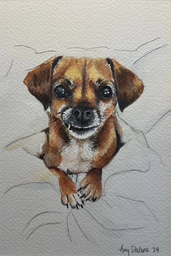 Feltman Pup by Amy DeVane