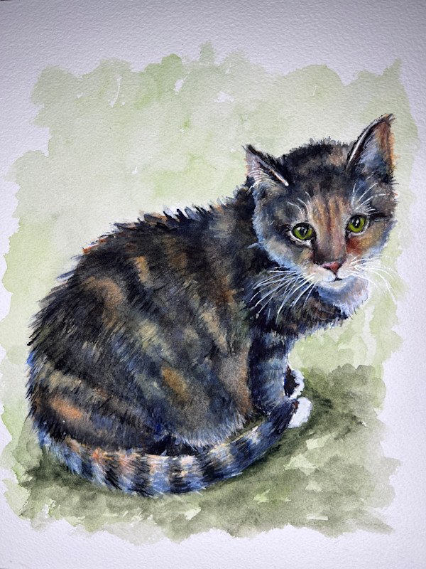 Sweet Green Eyed Kitty by Amy DeVane