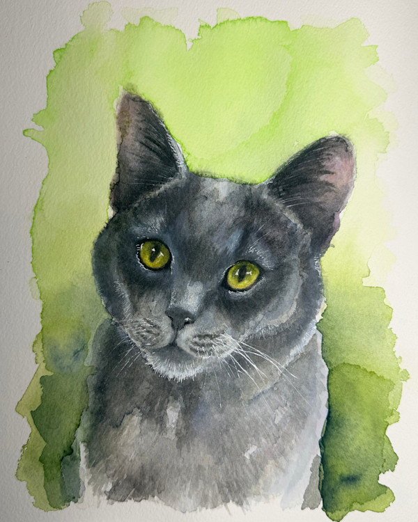 Laresa’s Cat by Amy DeVane, Image 2.