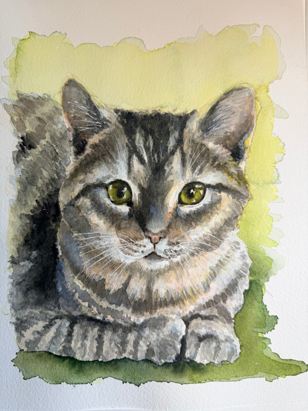 Laresa’s Cat 2 by Amy DeVane, Image 1.