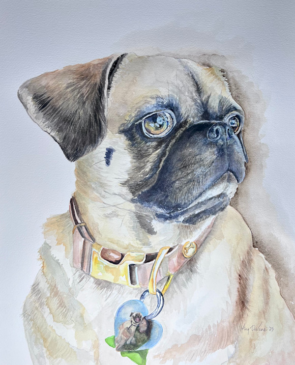 Charlie by Amy DeVane