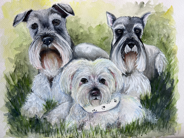 All 3 Babies by Amy DeVane
