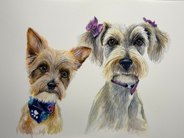 T. Gertz - two groomed pups- by Amy DeVane, Image 1.