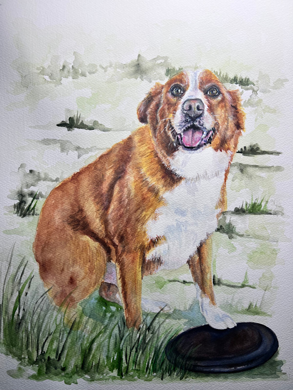 Douglas by Amy DeVane