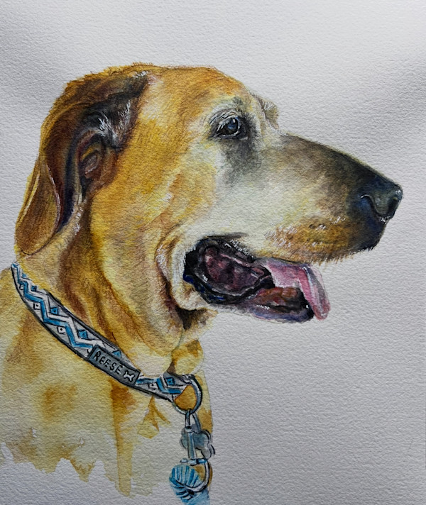 Reese by Amy DeVane