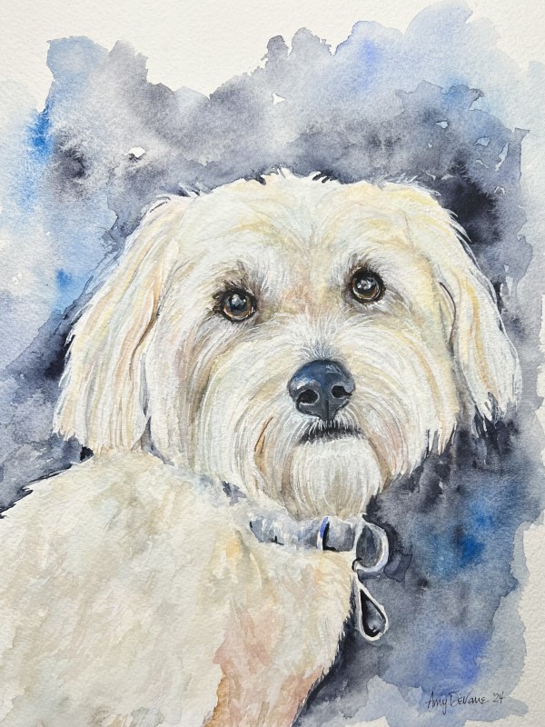 Stelly by Amy DeVane