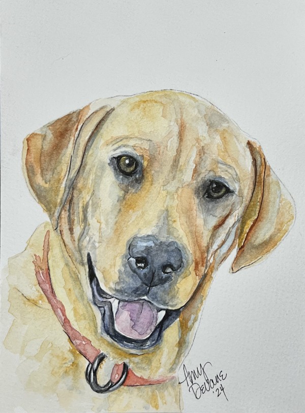 Adopted! by Amy DeVane