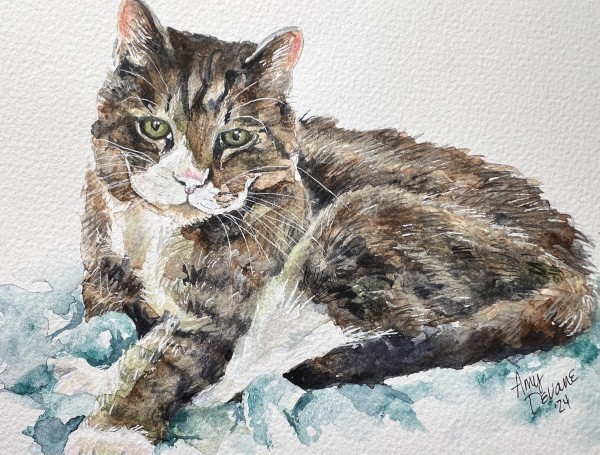 Corbin Kitty by Amy DeVane