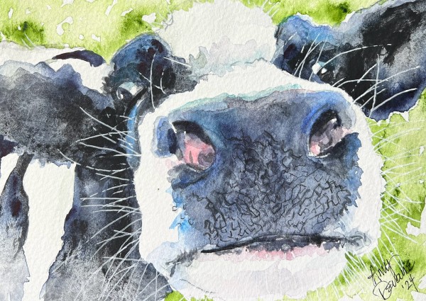 Moo! by Amy DeVane