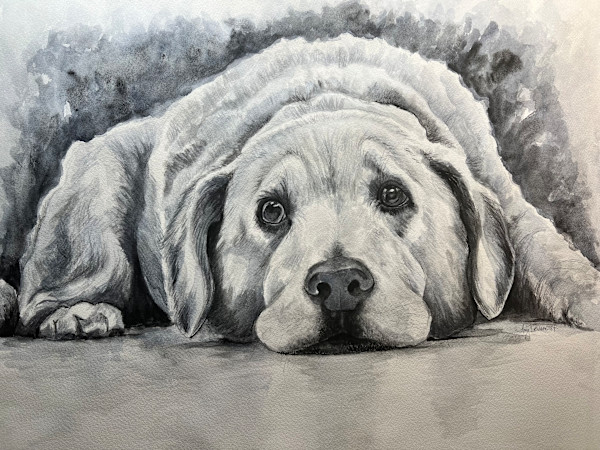 H. Smith Vet’s Office by Amy DeVane
