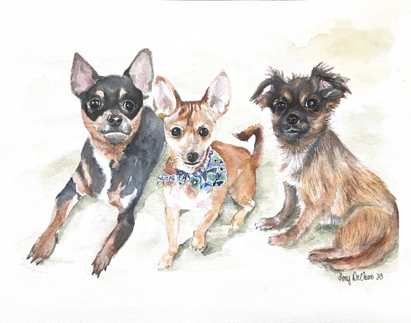 Thompson Dogs by Amy DeVane