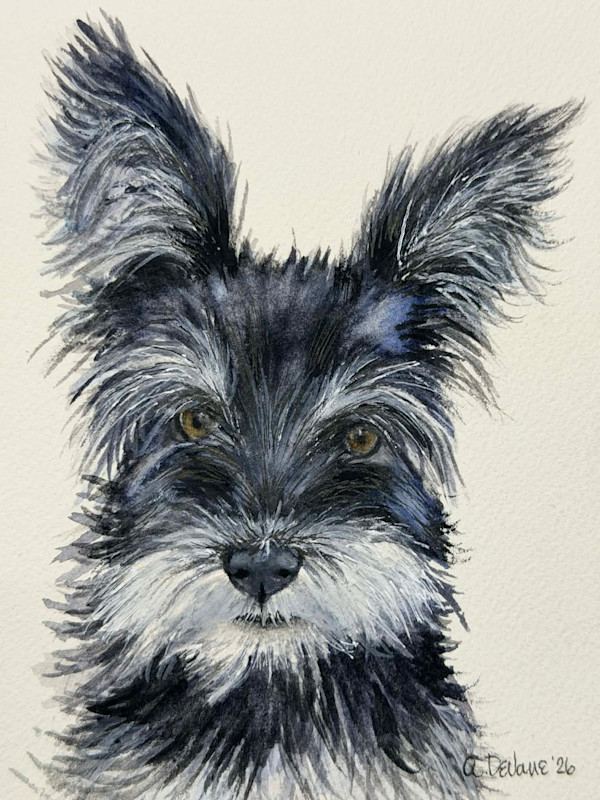 Niday 5x7 by Amy DeVane, Image 1.