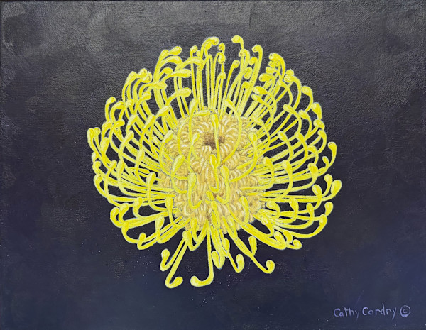Aperture by Cathy Cordry, Image 2.